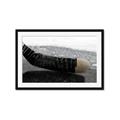 Picture of Face Off _GroupedProduct_Rectangle_Landscape_Mini_ _GroupedProduct_Rectangle_Landscape_Framed_Matted_