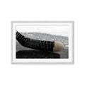Picture of Face Off _GroupedProduct_Rectangle_Landscape_Mini_ _GroupedProduct_Rectangle_Landscape_Framed_Matted_