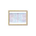 Picture of Ariel View of Rink  _GroupedProduct_Rectangle_Landscape_Mini_ _GroupedProduct_Rectangle_Landscape_Framed_Matted_