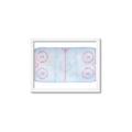Picture of Ariel View of Rink  _GroupedProduct_Rectangle_Landscape_Mini_ _GroupedProduct_Rectangle_Landscape_Framed_Matted_