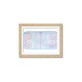 Picture of Ariel View of Rink  _GroupedProduct_Rectangle_Landscape_Mini_ _GroupedProduct_Rectangle_Landscape_Framed_Matted_
