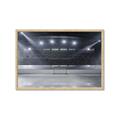 Picture of Empty Net _GroupedProduct_Rectangle_Landscape_Mini_ _GroupedProduct_Rectangle_Landscape_Framed_Matted_