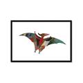 Picture of Colourful pterodactyl _GroupedProduct_Rectangle_Landscape_Mini_ _GroupedProduct_Rectangle_Landscape_Framed_Matted_