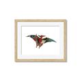 Picture of Colourful pterodactyl _GroupedProduct_Rectangle_Landscape_Mini_ _GroupedProduct_Rectangle_Landscape_Framed_Matted_