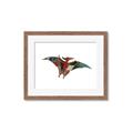 Picture of Colourful pterodactyl _GroupedProduct_Rectangle_Landscape_Mini_ _GroupedProduct_Rectangle_Landscape_Framed_Matted_