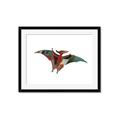 Picture of Colourful pterodactyl _GroupedProduct_Rectangle_Landscape_Mini_ _GroupedProduct_Rectangle_Landscape_Framed_Matted_