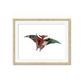 Picture of Colourful pterodactyl _GroupedProduct_Rectangle_Landscape_Mini_ _GroupedProduct_Rectangle_Landscape_Framed_Matted_