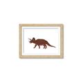 Picture of Red Triceratops  _GroupedProduct_Rectangle_Landscape_Mini_ _GroupedProduct_Rectangle_Landscape_Framed_Matted_