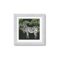 Picture of Zebra In The Jungle _GroupedProduct_Square_Framed_Matted_