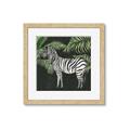 Picture of Zebra In The Jungle _GroupedProduct_Square_Framed_Matted_