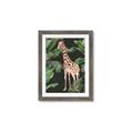 Picture of Giraffe In The Jungle _GroupedProduct_Rectangle_Portrait_Framed_Matted_