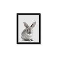 Picture of Button, the Bunny _GroupedProduct_Rectangle_Portrait_Framed_Matted_