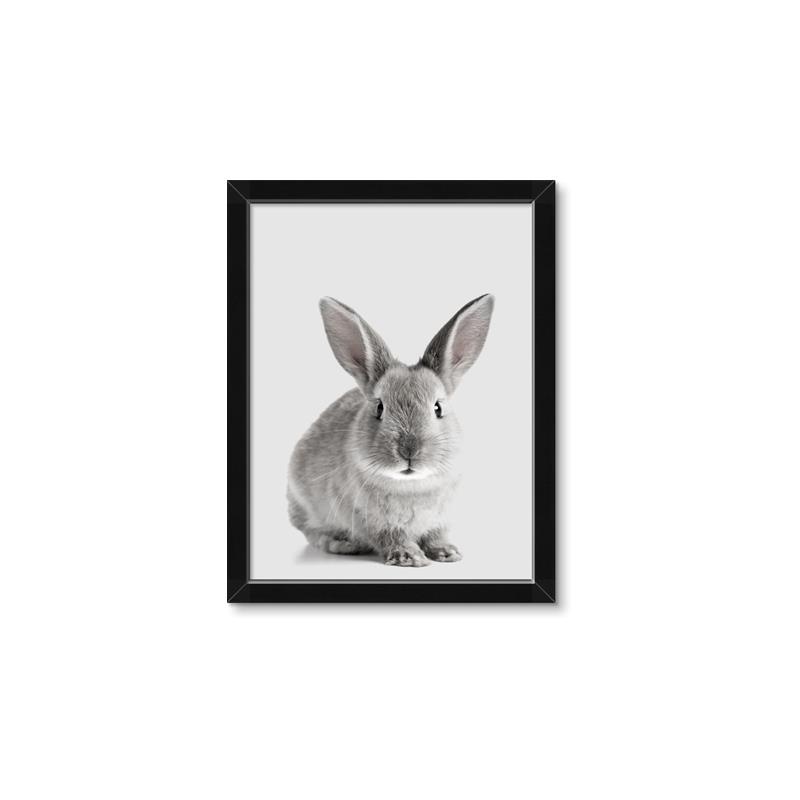 Picture of Button, the Bunny _GroupedProduct_Rectangle_Portrait_Framed_Matted_