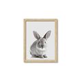 Picture of Button, the Bunny _GroupedProduct_Rectangle_Portrait_Framed_Matted_