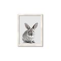 Picture of Button, the Bunny _GroupedProduct_Rectangle_Portrait_Framed_Matted_