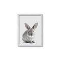 Picture of Button, the Bunny _GroupedProduct_Rectangle_Portrait_Framed_Matted_
