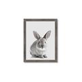Picture of Button, the Bunny _GroupedProduct_Rectangle_Portrait_Framed_Matted_