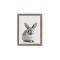 Picture of Button, the Bunny _GroupedProduct_Rectangle_Portrait_Framed_Matted_