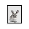 Picture of Button, the Bunny _GroupedProduct_Rectangle_Portrait_Framed_Matted_