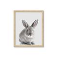 Picture of Button, the Bunny _GroupedProduct_Rectangle_Portrait_Framed_Matted_