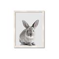 Picture of Button, the Bunny _GroupedProduct_Rectangle_Portrait_Framed_Matted_