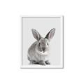 Picture of Button, the Bunny _GroupedProduct_Rectangle_Portrait_Framed_Matted_