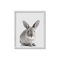 Picture of Button, the Bunny _GroupedProduct_Rectangle_Portrait_Framed_Matted_