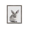 Picture of Button, the Bunny _GroupedProduct_Rectangle_Portrait_Framed_Matted_