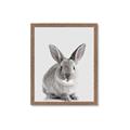 Picture of Button, the Bunny _GroupedProduct_Rectangle_Portrait_Framed_Matted_
