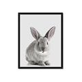 Picture of Button, the Bunny _GroupedProduct_Rectangle_Portrait_Framed_Matted_