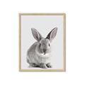 Picture of Button, the Bunny _GroupedProduct_Rectangle_Portrait_Framed_Matted_