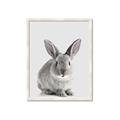 Picture of Button, the Bunny _GroupedProduct_Rectangle_Portrait_Framed_Matted_