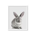 Picture of Button, the Bunny _GroupedProduct_Rectangle_Portrait_Framed_Matted_