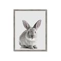 Picture of Button, the Bunny _GroupedProduct_Rectangle_Portrait_Framed_Matted_