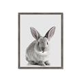 Picture of Button, the Bunny _GroupedProduct_Rectangle_Portrait_Framed_Matted_