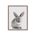Picture of Button, the Bunny _GroupedProduct_Rectangle_Portrait_Framed_Matted_