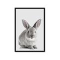 Picture of Button, the Bunny _GroupedProduct_Rectangle_Portrait_Framed_Matted_
