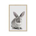 Picture of Button, the Bunny _GroupedProduct_Rectangle_Portrait_Framed_Matted_