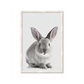 Picture of Button, the Bunny _GroupedProduct_Rectangle_Portrait_Framed_Matted_