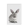 Picture of Button, the Bunny _GroupedProduct_Rectangle_Portrait_Framed_Matted_