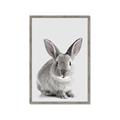 Picture of Button, the Bunny _GroupedProduct_Rectangle_Portrait_Framed_Matted_