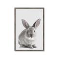 Picture of Button, the Bunny _GroupedProduct_Rectangle_Portrait_Framed_Matted_