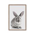 Picture of Button, the Bunny _GroupedProduct_Rectangle_Portrait_Framed_Matted_