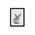 Picture of Button, the Bunny _GroupedProduct_Rectangle_Portrait_Framed_Matted_