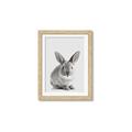 Picture of Button, the Bunny _GroupedProduct_Rectangle_Portrait_Framed_Matted_