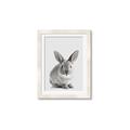 Picture of Button, the Bunny _GroupedProduct_Rectangle_Portrait_Framed_Matted_