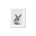 Picture of Button, the Bunny _GroupedProduct_Rectangle_Portrait_Framed_Matted_
