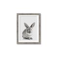 Picture of Button, the Bunny _GroupedProduct_Rectangle_Portrait_Framed_Matted_