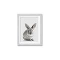 Picture of Button, the Bunny _GroupedProduct_Rectangle_Portrait_Framed_Matted_
