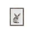 Picture of Button, the Bunny _GroupedProduct_Rectangle_Portrait_Framed_Matted_